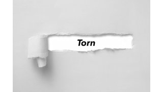 Torn Meaning and Definition