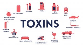 Toxins Meaning and Definition