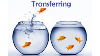 Transferring Meaning and Definition