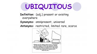 Ubiquitous Meaning and Definition