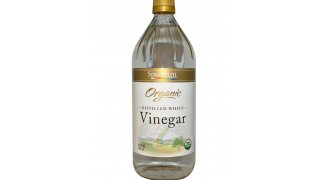 Vinegar Meaning and Definition
