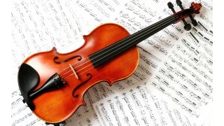 Violin Meaning and Definition
