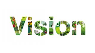 Vision Meaning and Definition