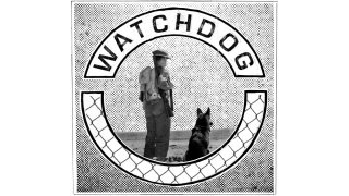 Watchdog Meaning and Definition