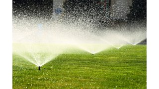 Watering Meaning and Definition