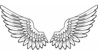 Wing Meaning and Definition