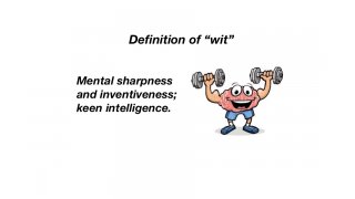 Wit Meaning and Definition