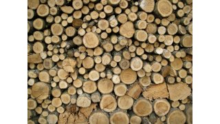 Wood Meaning and Definition