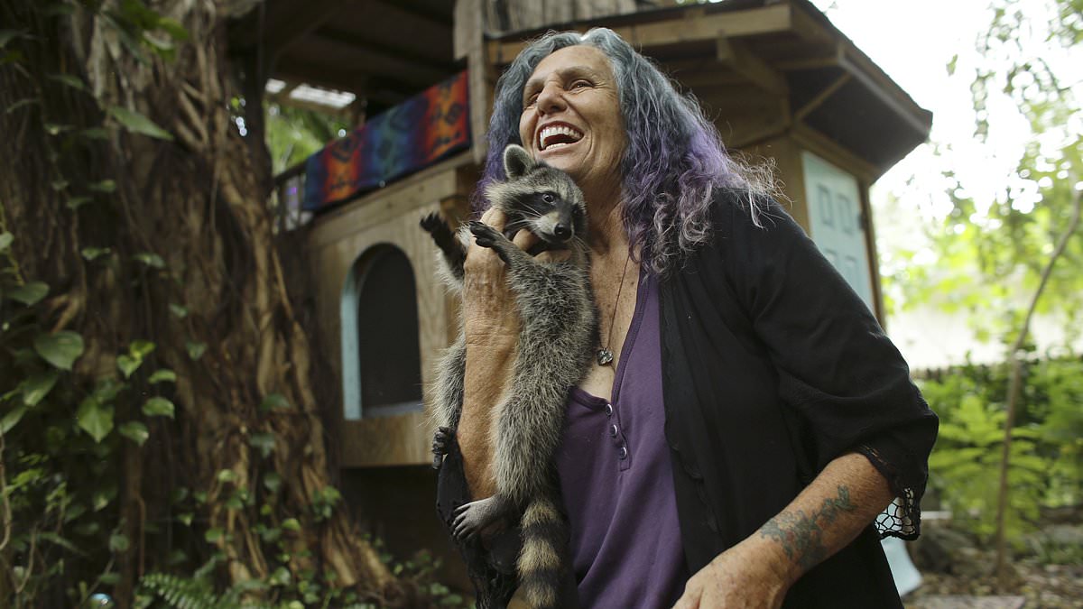 Florida grandmother is ordered to tear down her Miami treehouse she has lived in for 17 YEARS after $40k of fi 