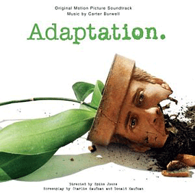 Adaptation Meaning and Definition