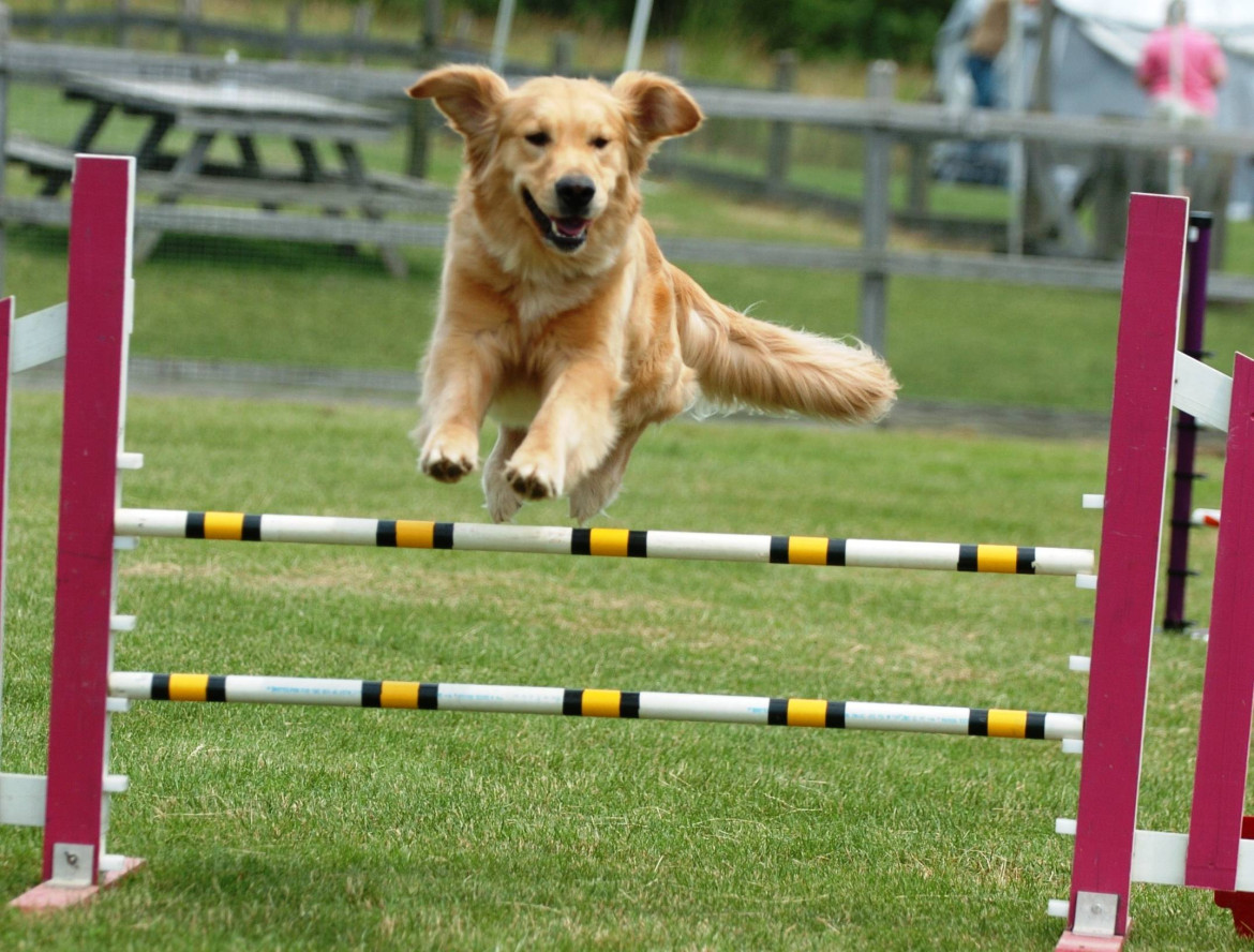 Agility Meaning and Definition