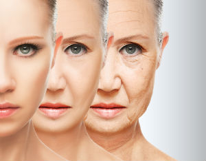 Aging Meaning and Definition