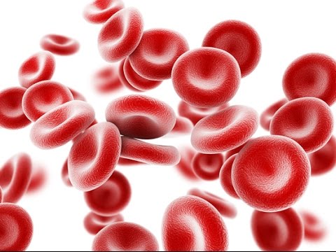 Anemia Meaning and Definition