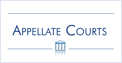 Appellate Meaning and Definition