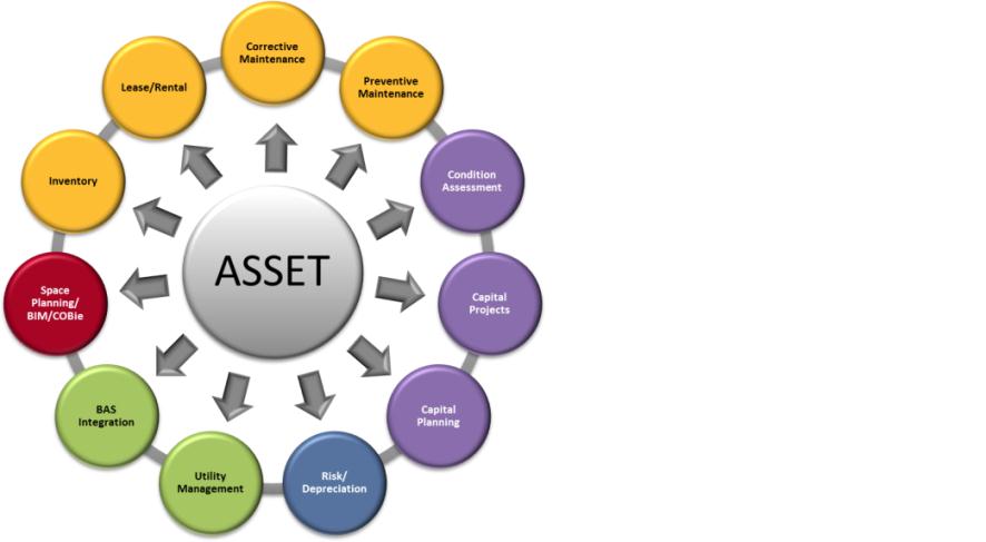 Asset Meaning and Definition