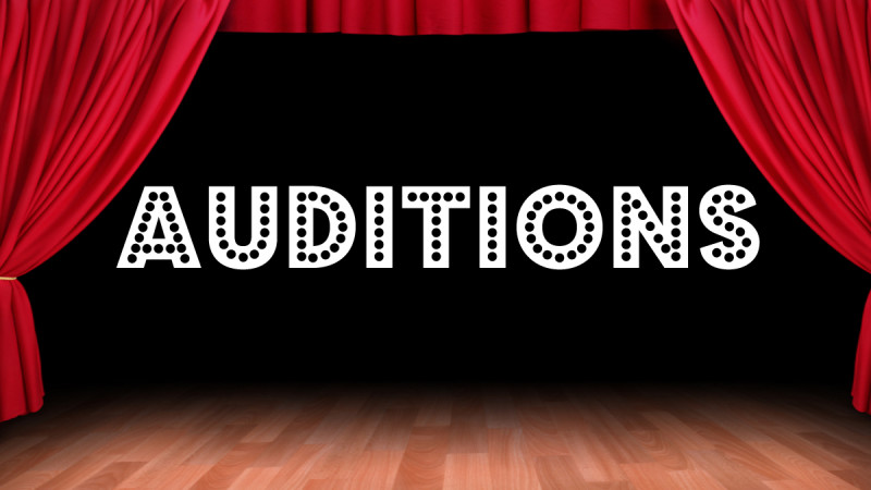 Audition Meaning and Definition