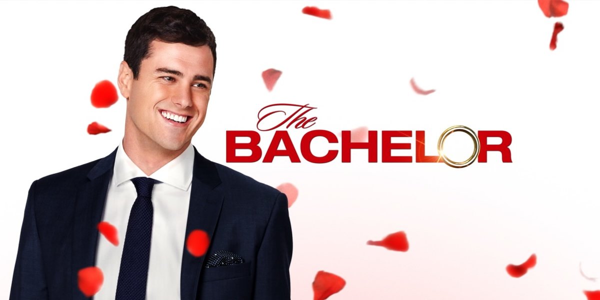 Bachelor Meaning and Definition