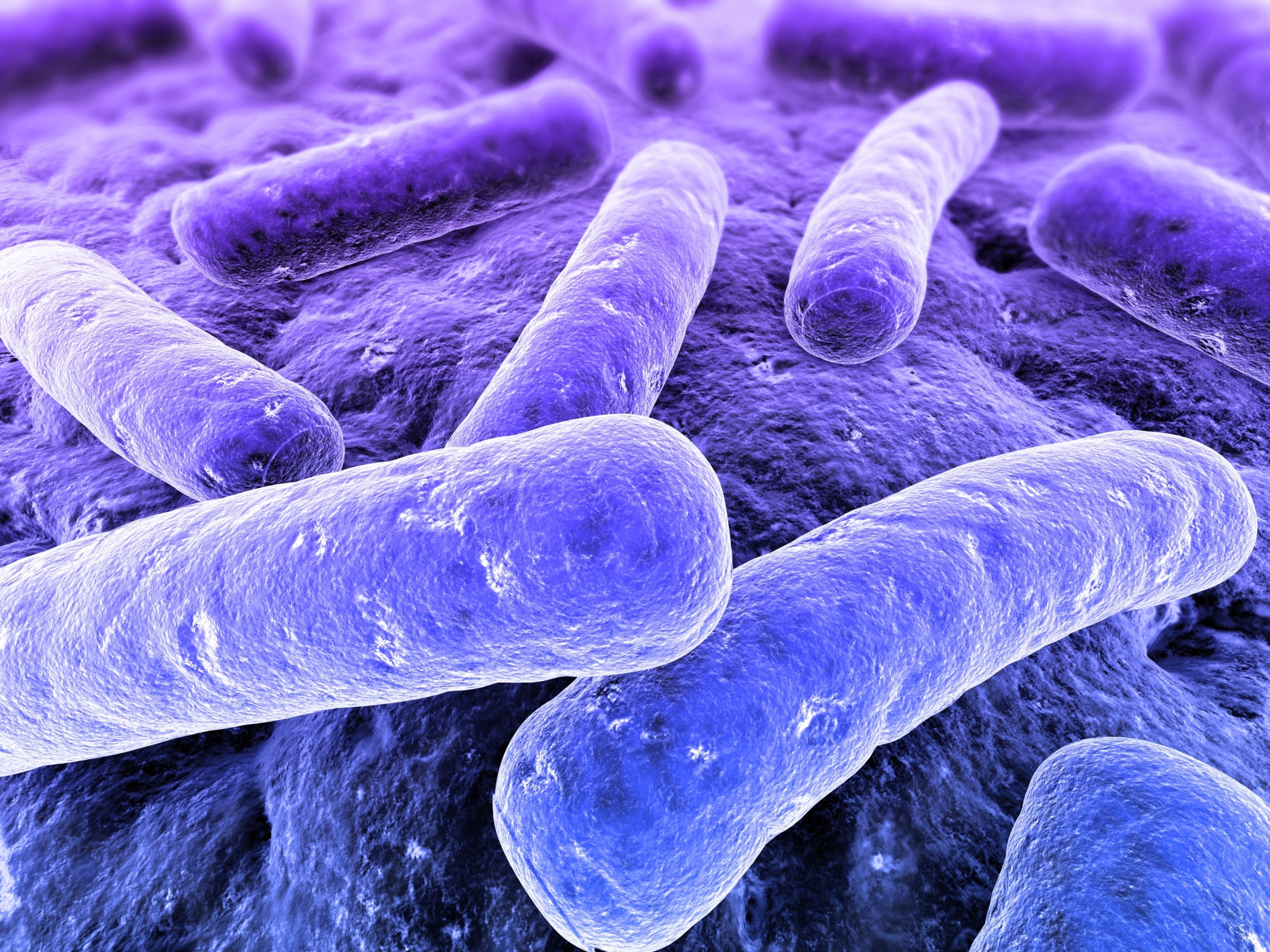Bacterial Meaning and Definition