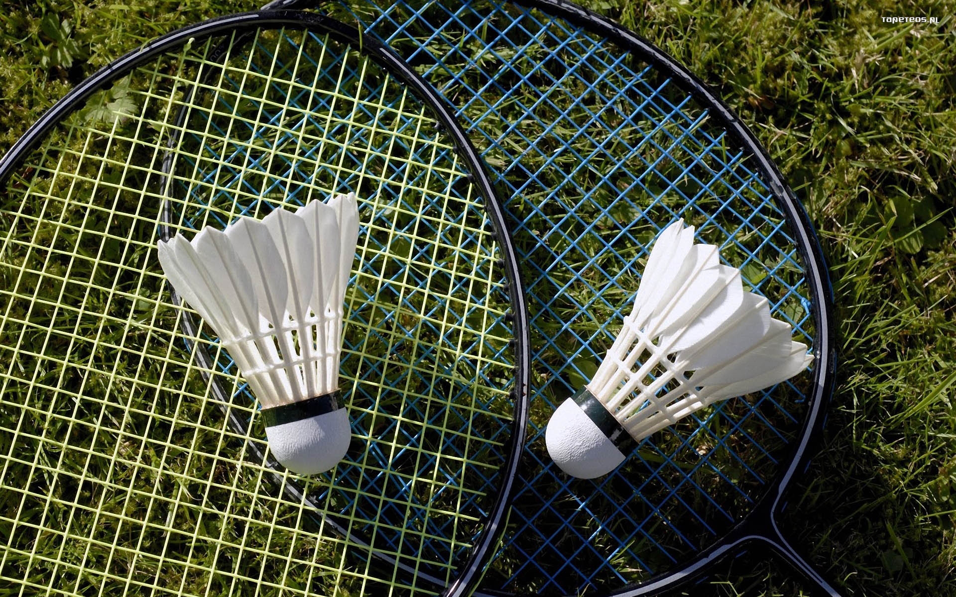 Badminton Meaning and Definition