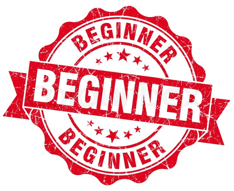 Beginner Meaning and Definition