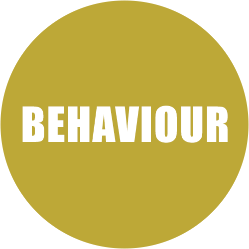 Behaviour Meaning and Definition
