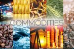 Commodity Meaning and Definition