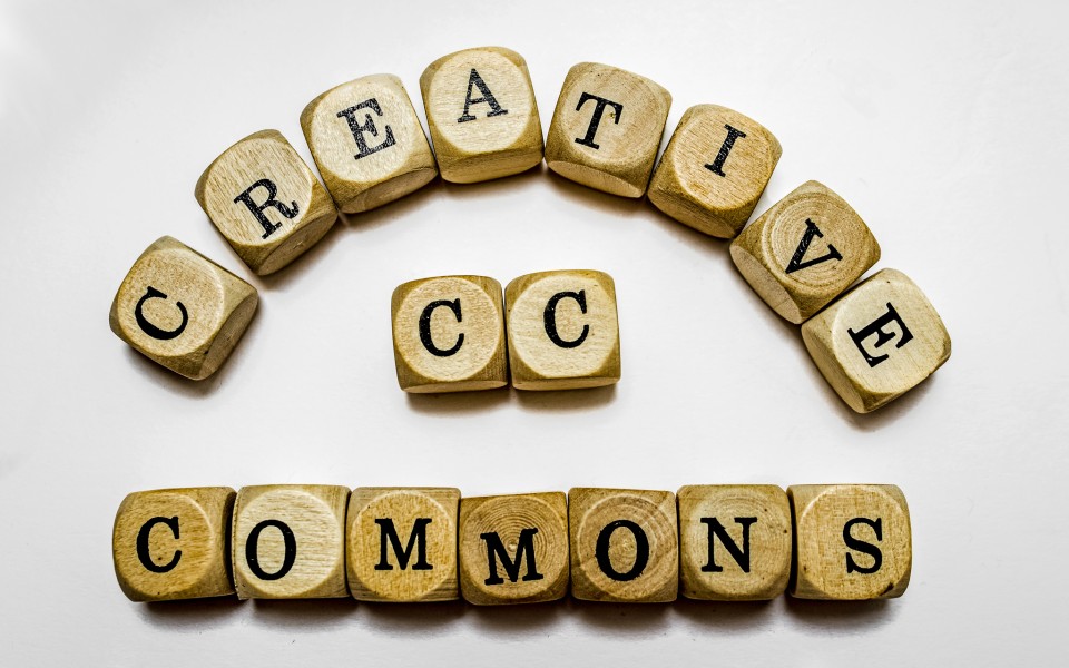 Commons Meaning and Definition