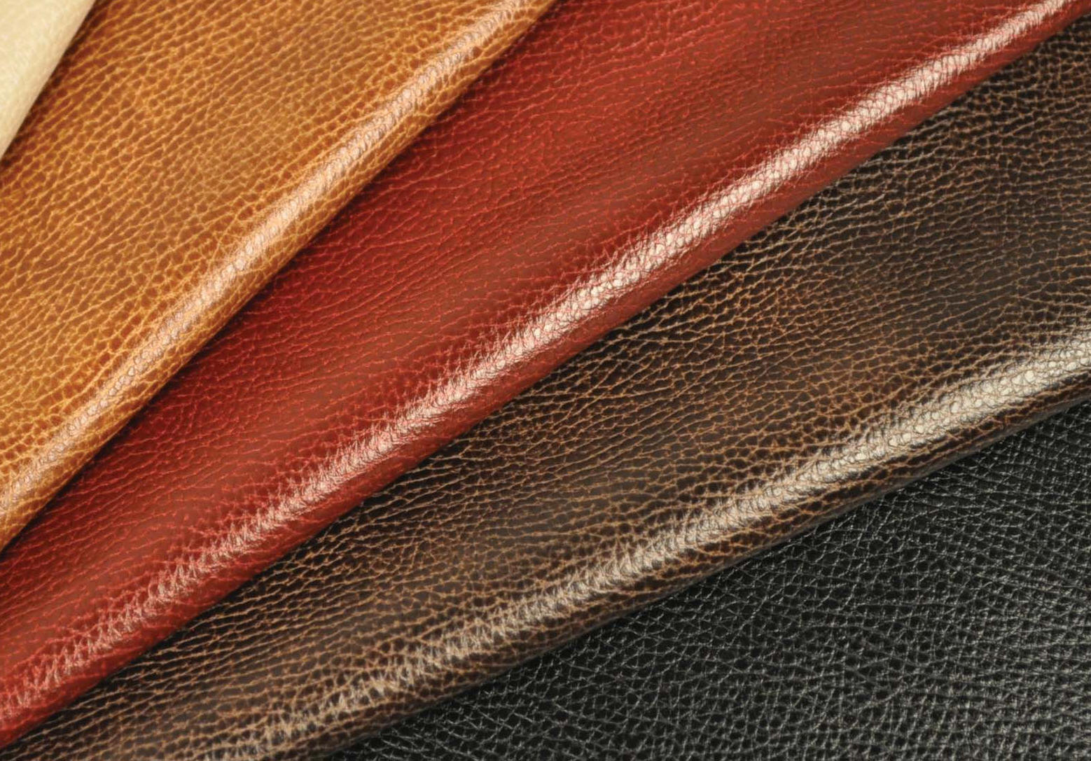 Leather Meaning and Definition