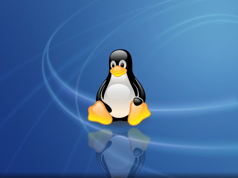 Linux Meaning and Definition