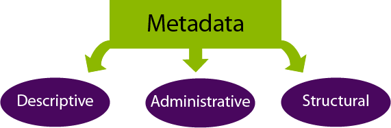Metadata Meaning and Definition