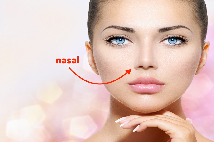 Nasal Meaning and Definition