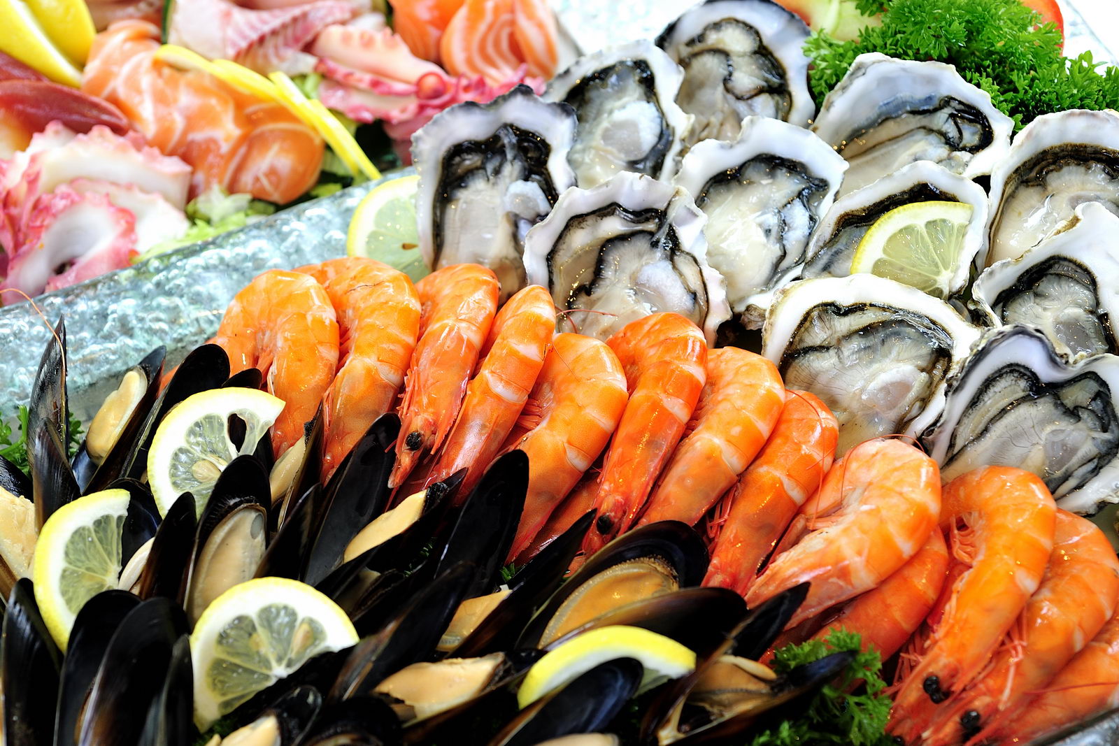 Seafood Meaning and Definition