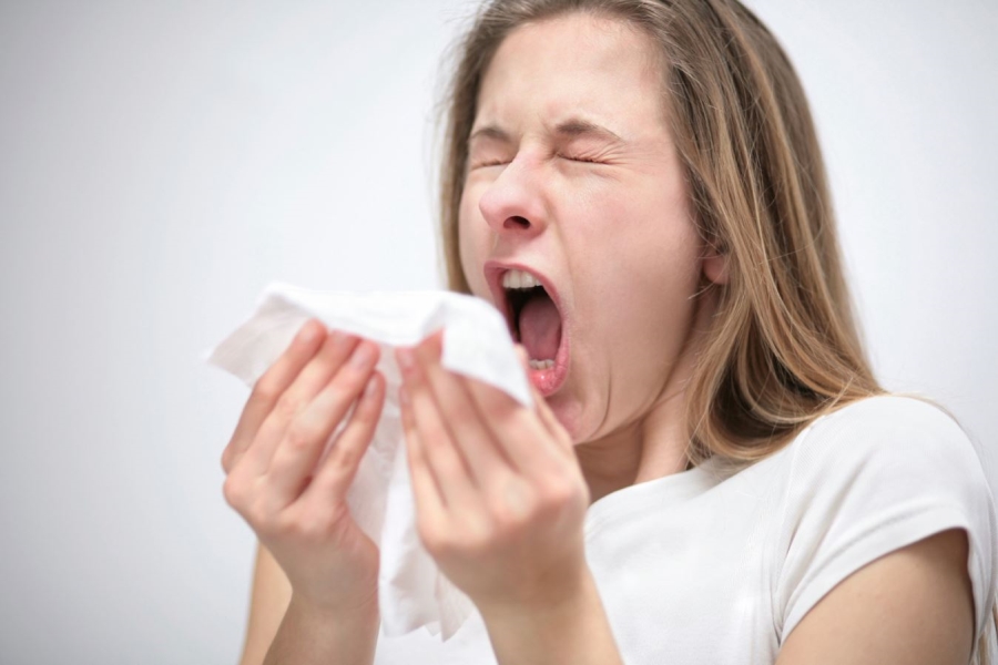 Sneeze Meaning and Definition