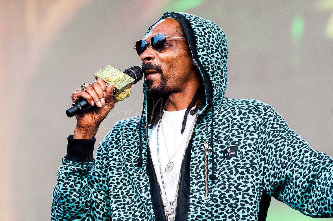 Snoop Meaning and Definition