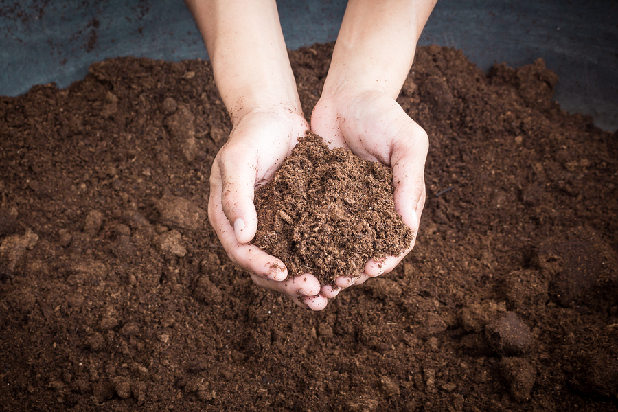 Soil Meaning and Definition