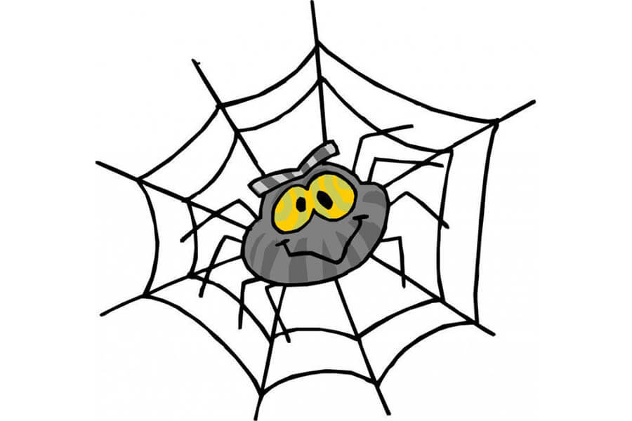 Spider Meaning and Definition