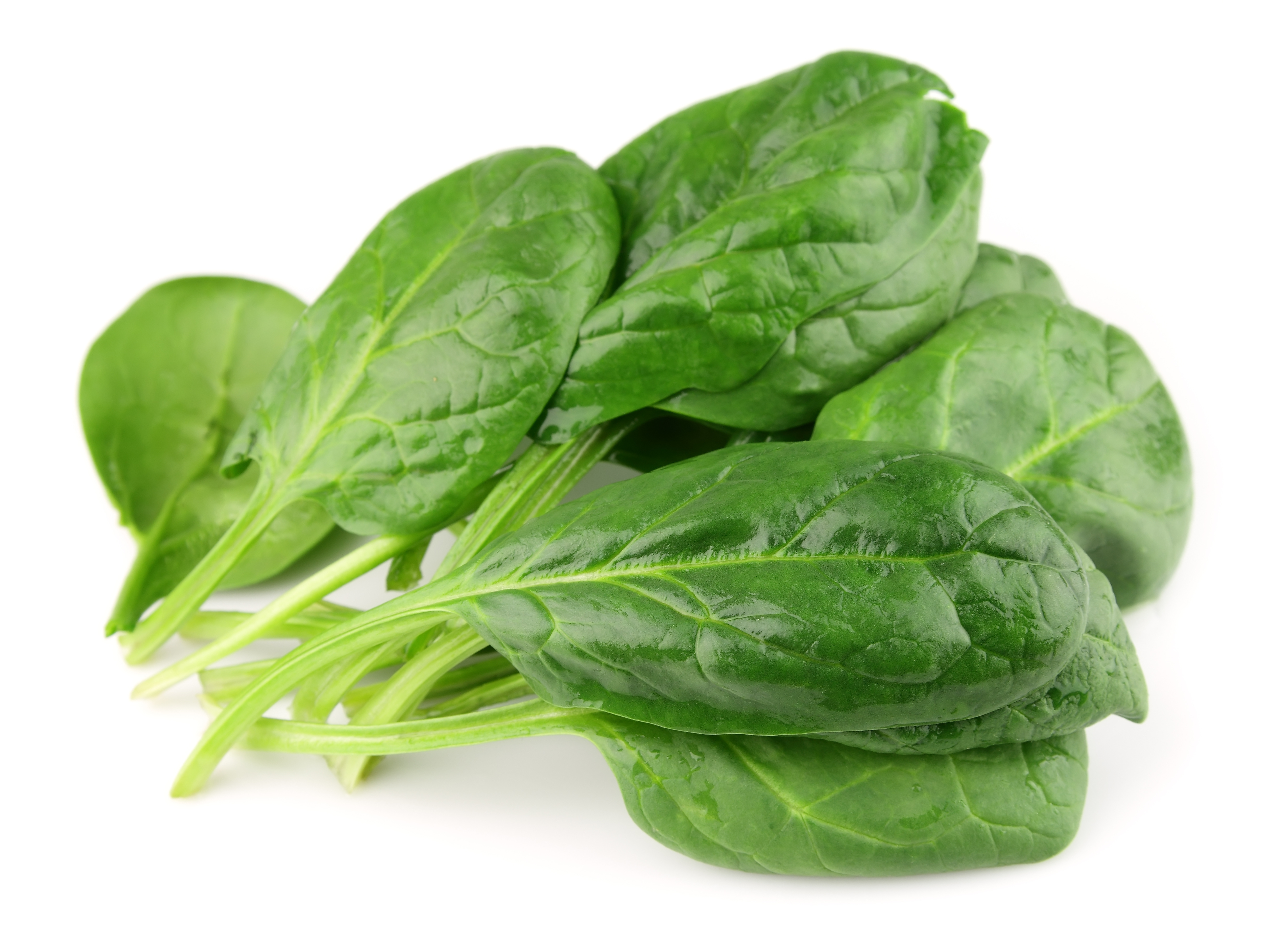 Spinach Meaning and Definition