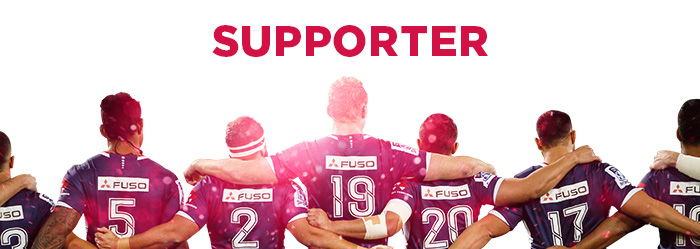 Supporter Meaning and Definition