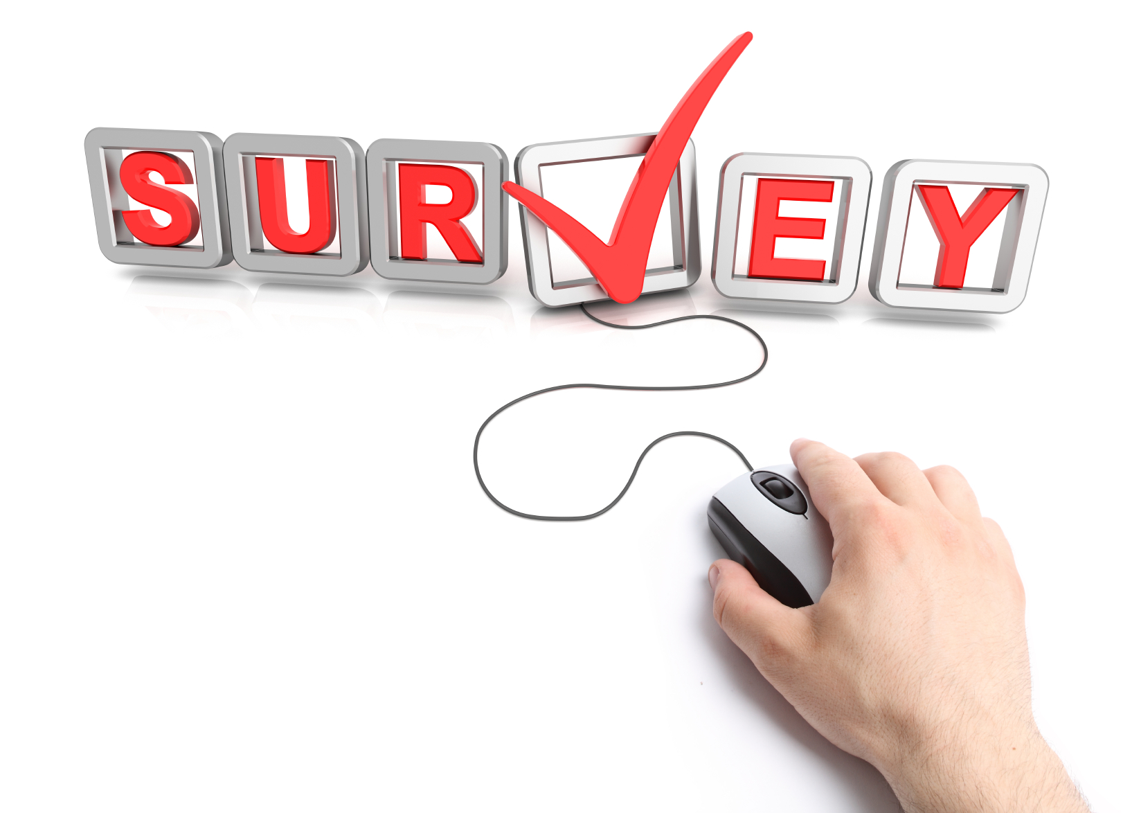 Survey Meaning and Definition
