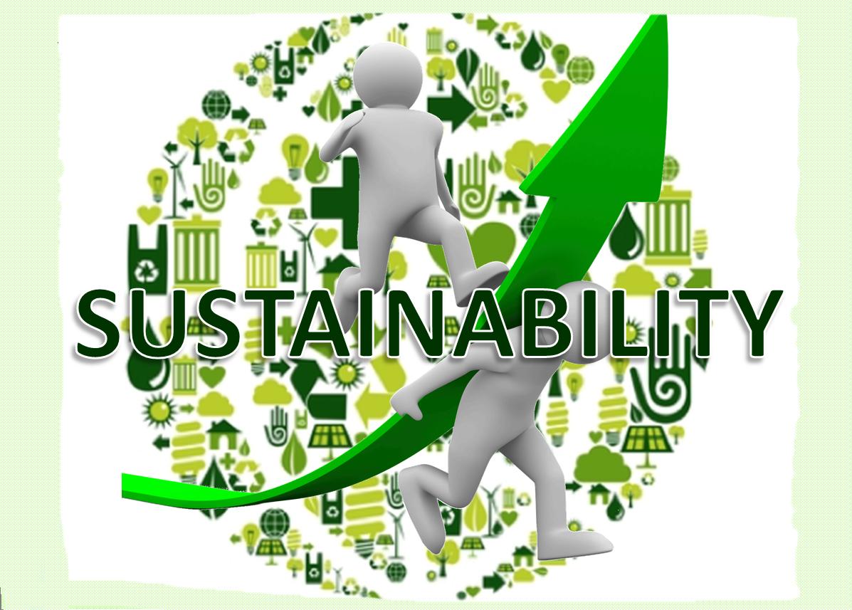 Sustainability Meaning and Definition