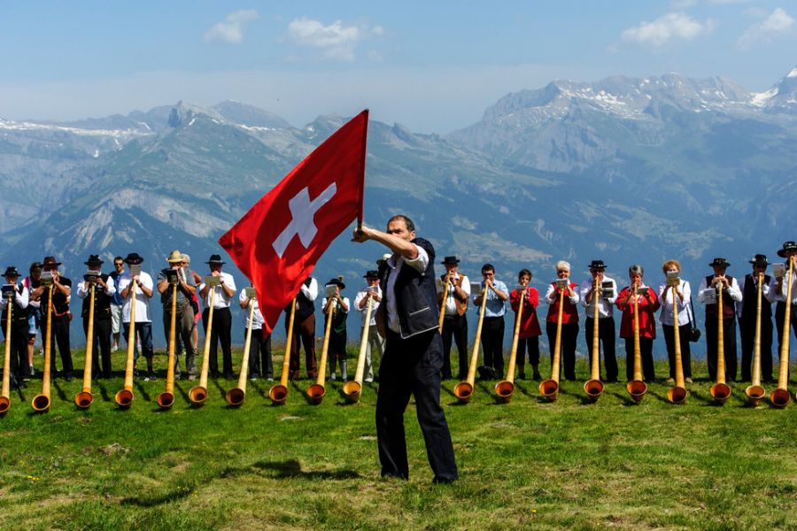 Swiss Meaning and Definition