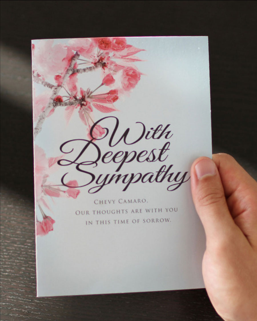 Sympathy Meaning and Definition