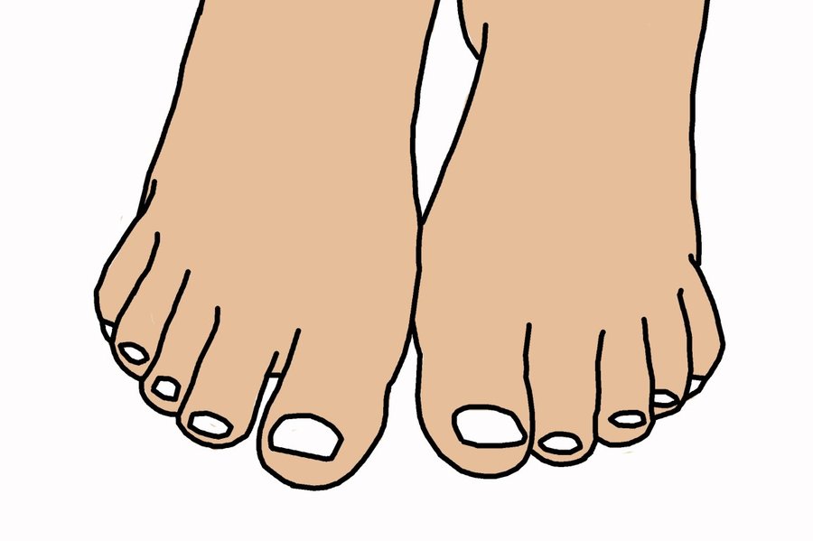 Toes Meaning and Definition