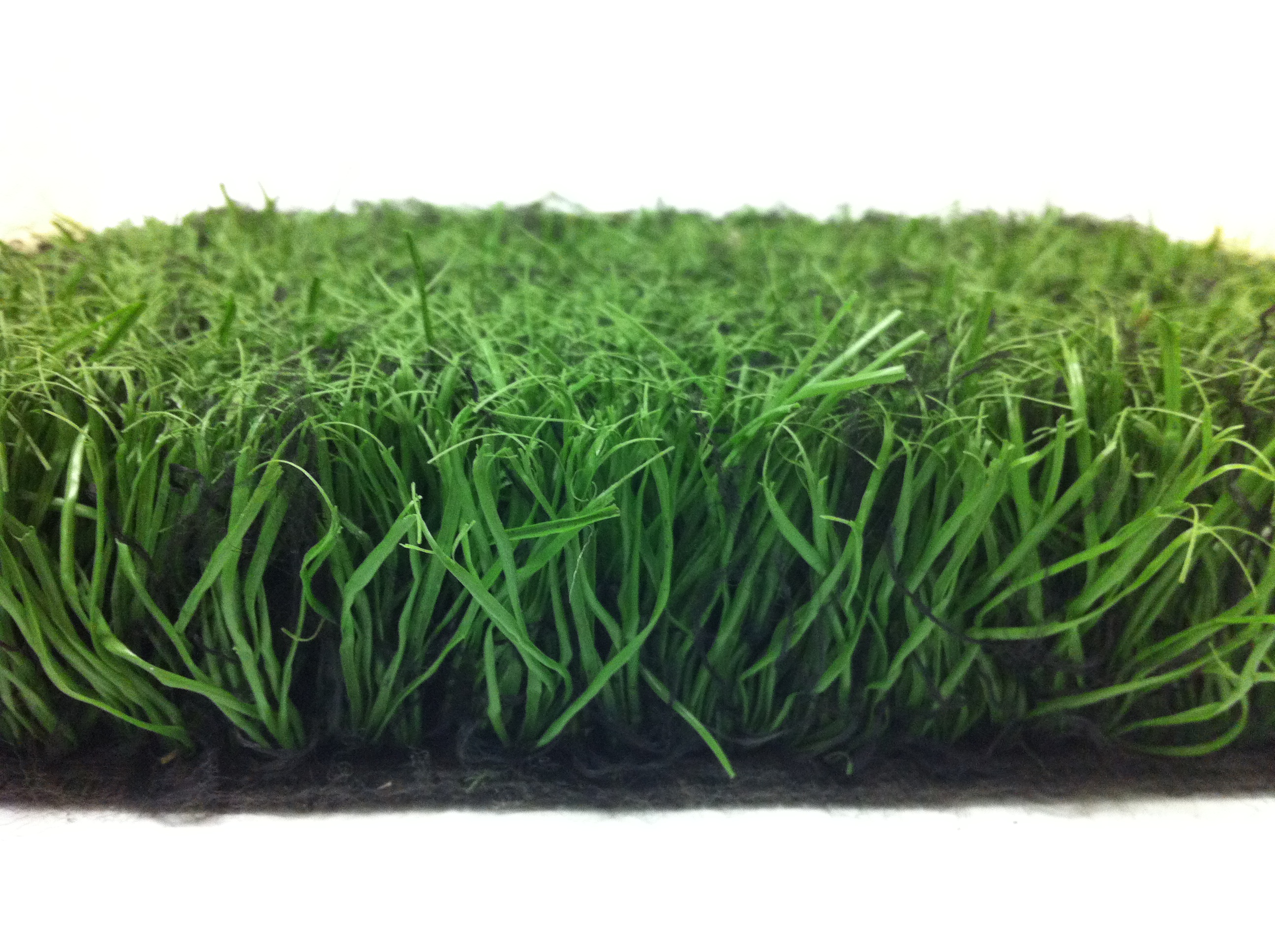 Turf Meaning and Definition