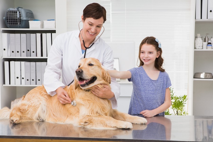 Veterinary Meaning and Definition