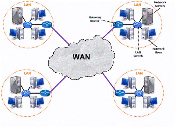 Wan Meaning and Definition
