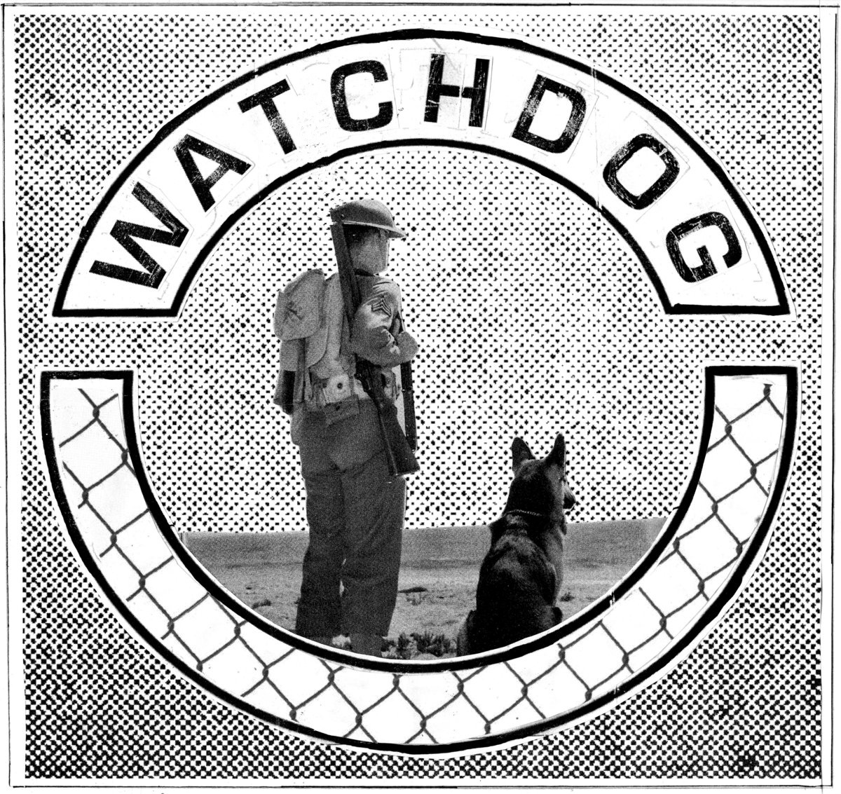 Watchdog Meaning and Definition