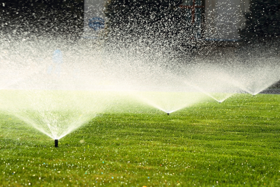 Watering Meaning and Definition