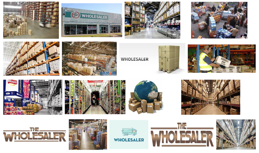 Wholesaler Meaning and Definition
