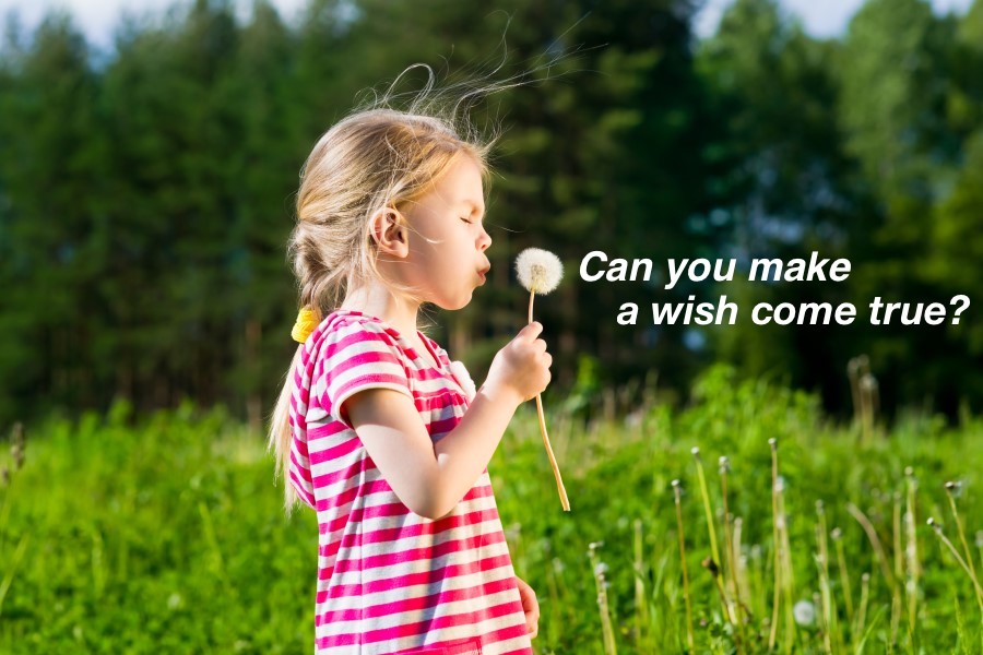 Wish Meaning and Definition